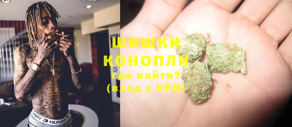 амф Краснослободск