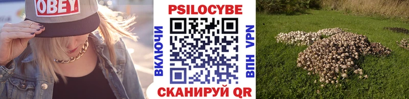 наркота  Нерюнгри  Псилоцибиновые грибы мицелий 