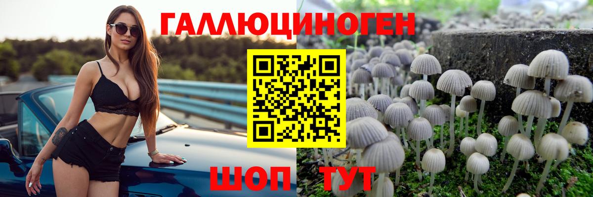 Псилоцибиновые грибы GOLDEN TEACHER  Псилоцибиновые грибы мухоморы  Вход с VPN  Нерюнгри 